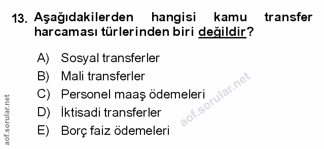 Soru 13