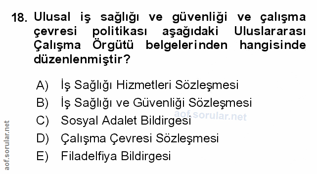 Soru 18