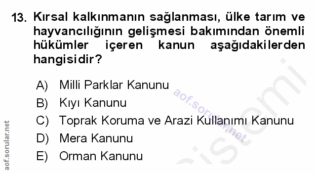 Soru 13