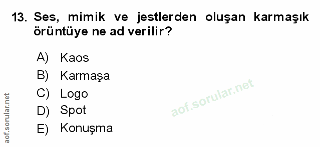 Soru 13