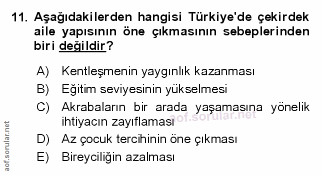 Soru 11