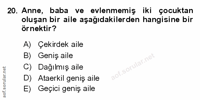 Soru 20