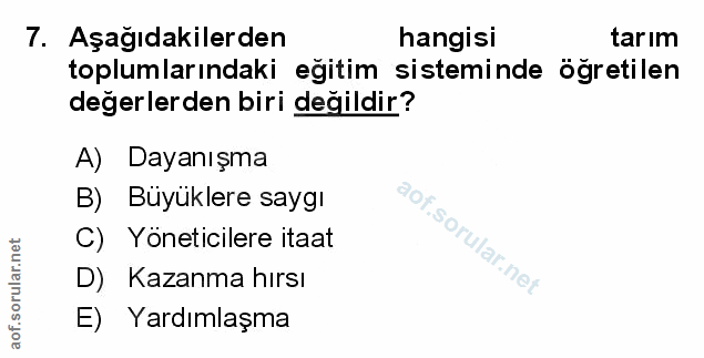 Soru 7