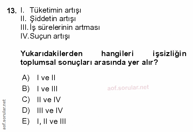 Soru 13