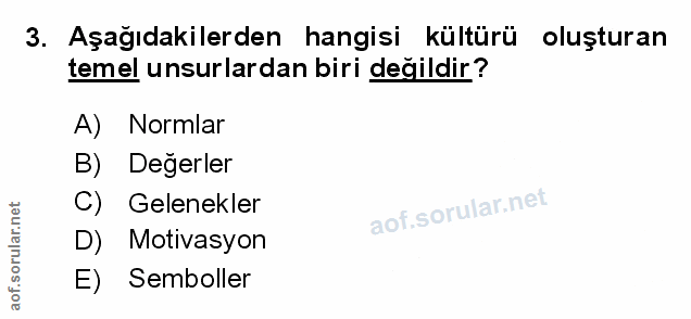 Soru 3