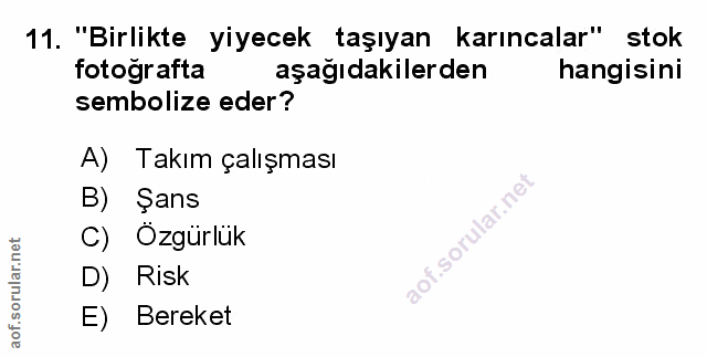 Soru 11