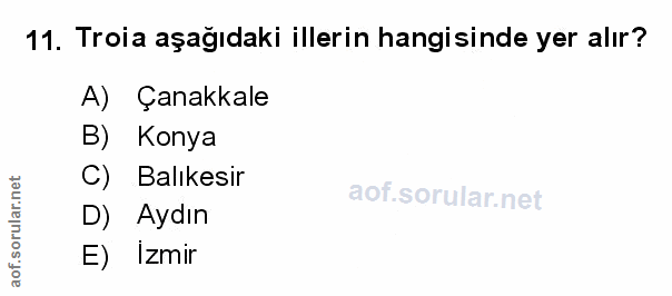 Soru 11