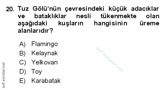 Soru 20