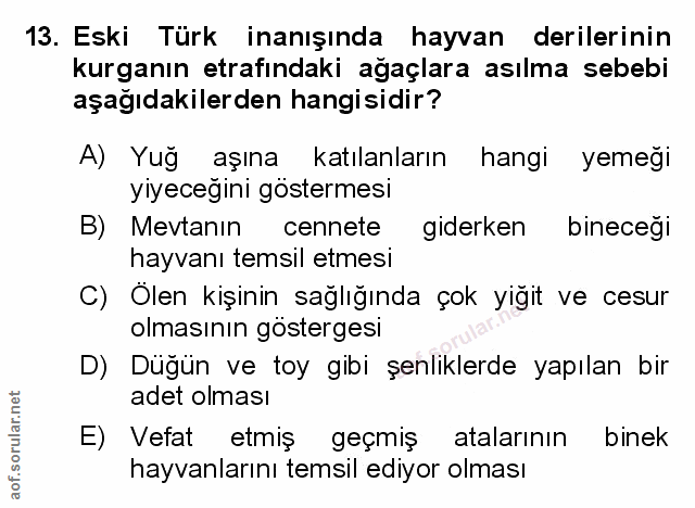 Soru 13