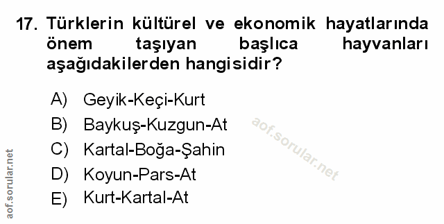 Soru 17