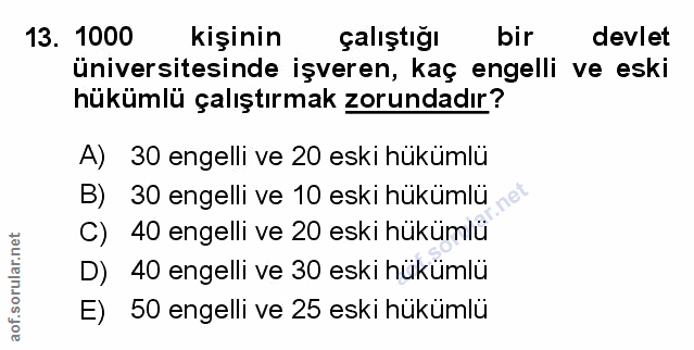 Soru 13