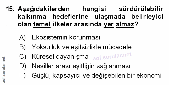 Soru 15