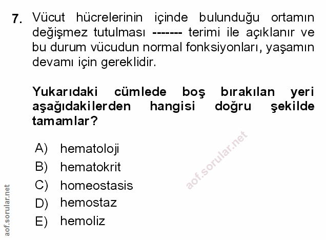 Soru 7