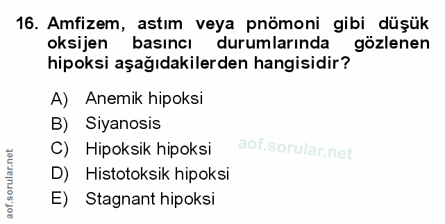 Soru 16