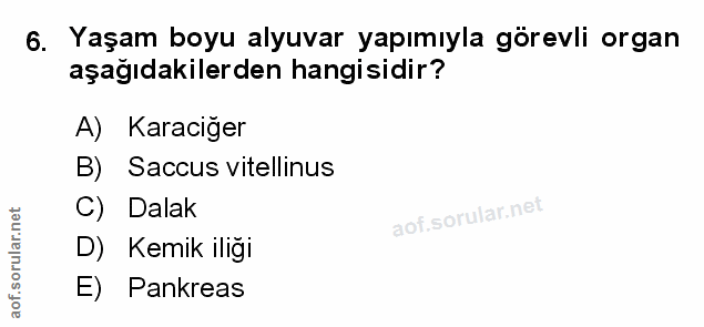 Soru 6