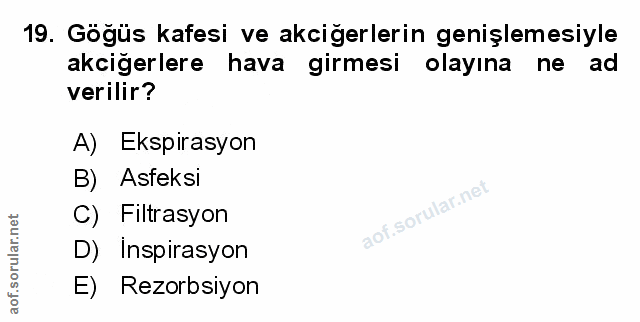 Soru 19