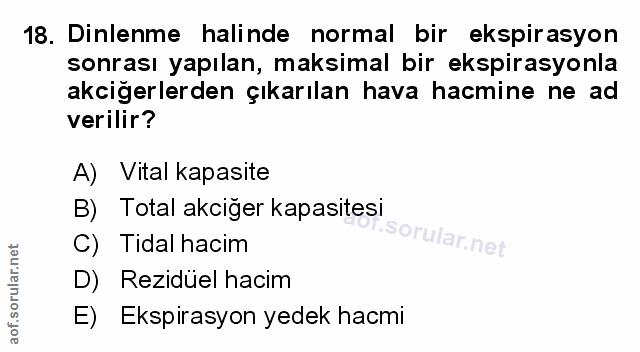 Soru 18