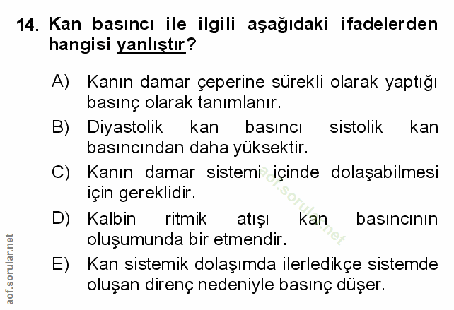Soru 14