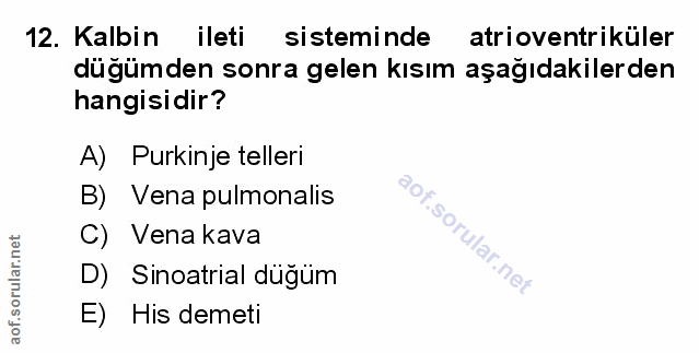 Soru 12