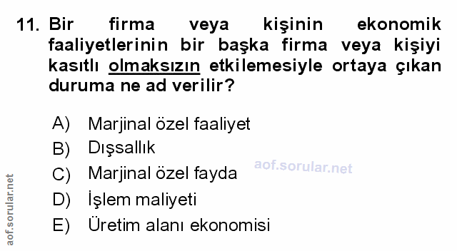 Soru 11
