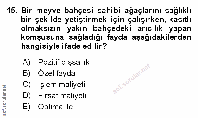 Soru 15