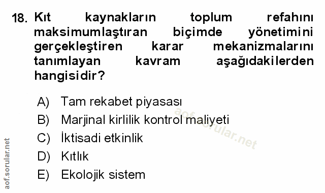 Soru 18