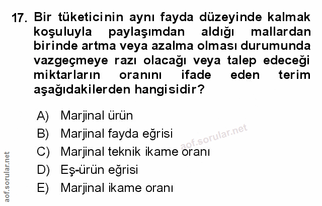 Soru 17