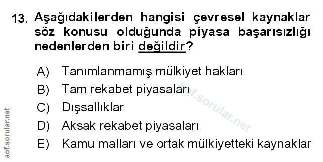 Soru 13