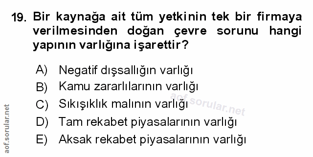 Soru 19