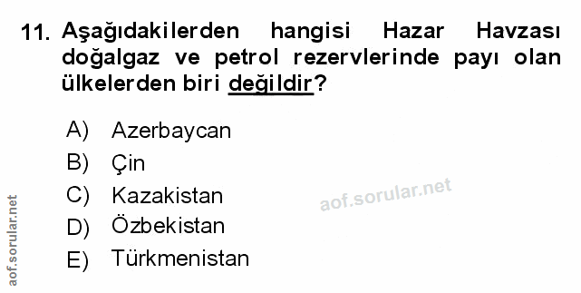 Soru 11