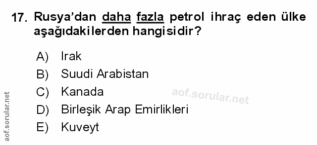 Soru 17