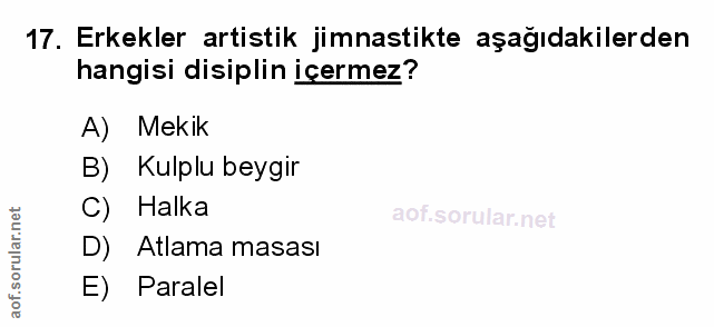 Soru 17