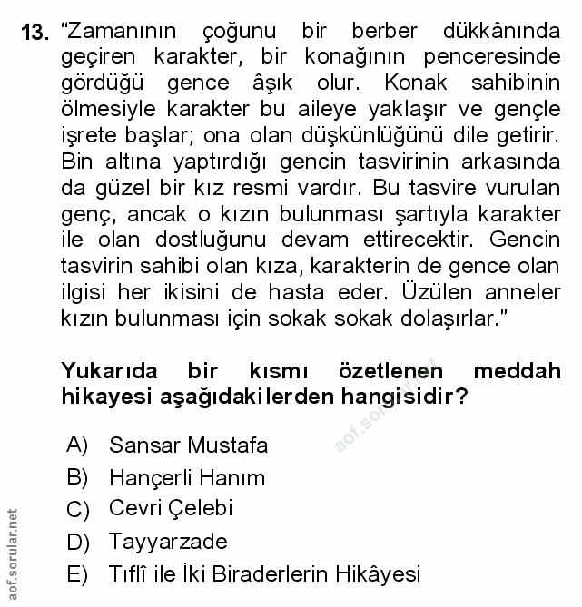 Soru 13