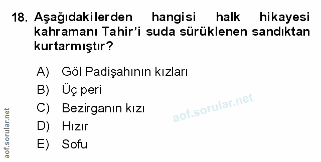 Soru 18