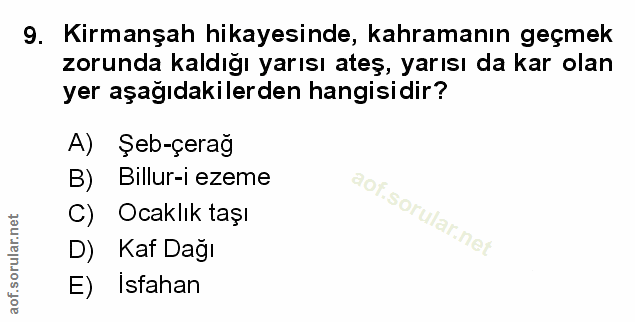 Soru 9
