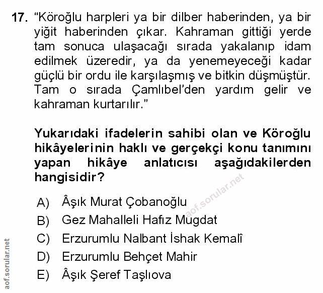 Soru 17