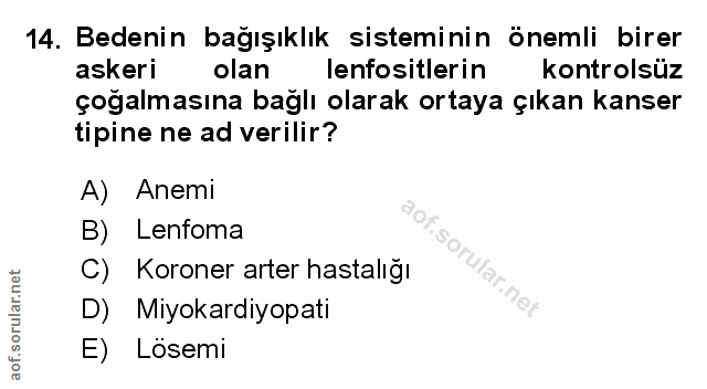 Soru 14