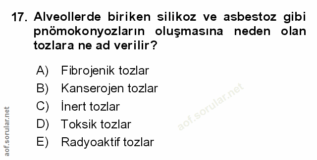 Soru 17