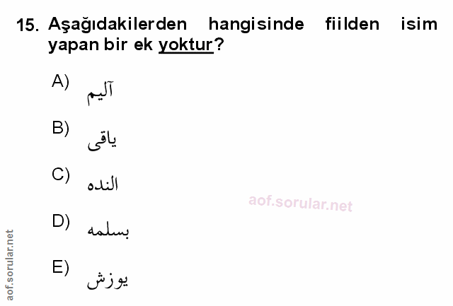 Soru 15