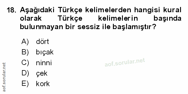 Soru 18