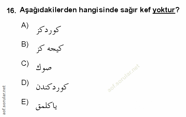 Soru 16