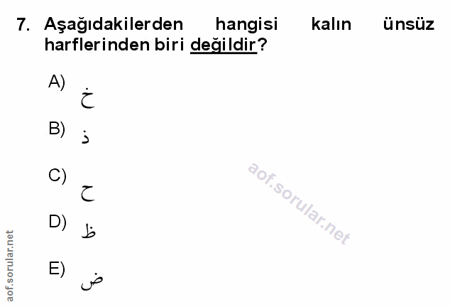 Soru 7