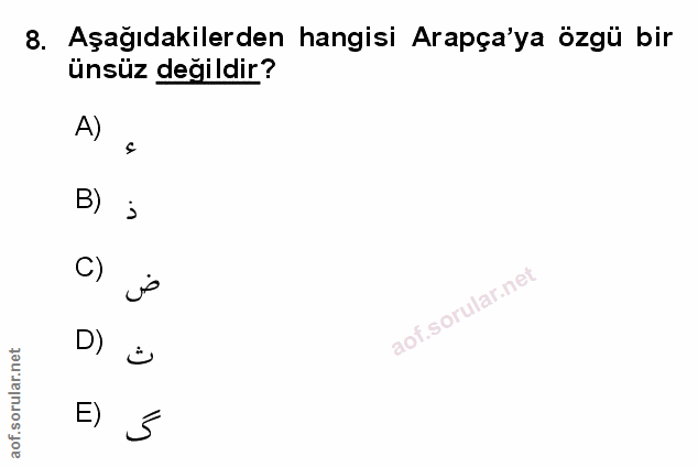 Soru 8