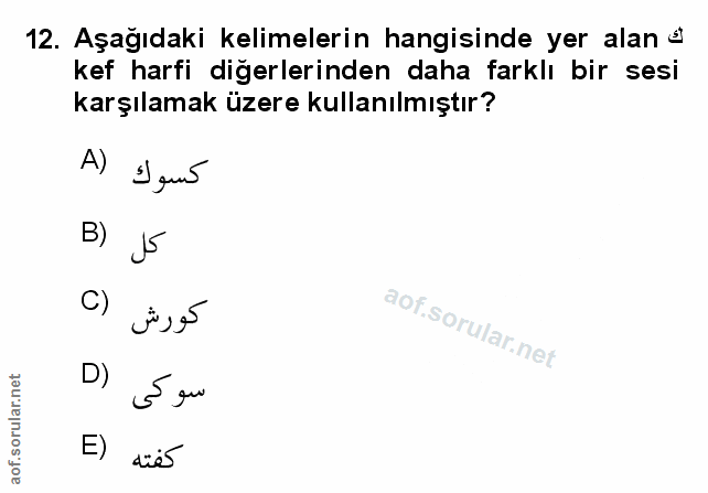 Soru 12