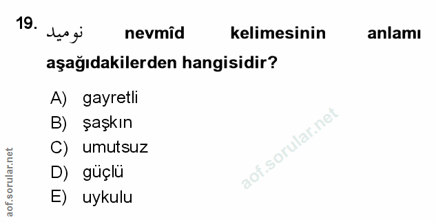 Soru 19
