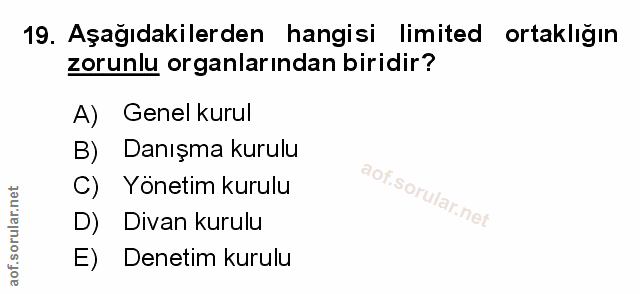 Soru 19