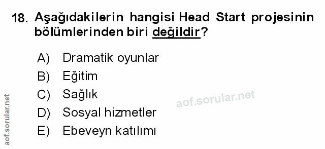 Soru 18