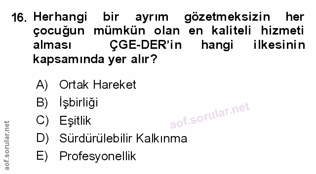 Soru 16