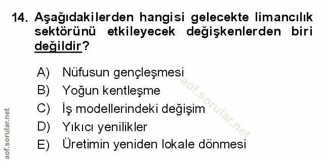 Soru 14