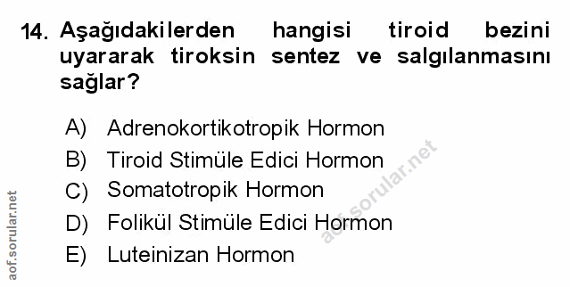 Soru 14